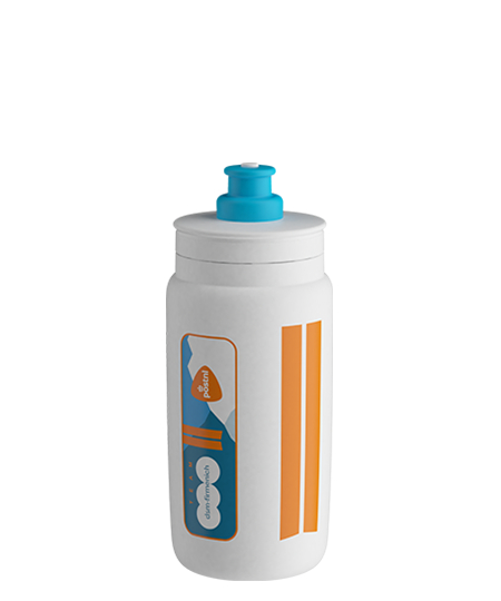 FLY TEAM DSM FIRMENICH POSTNL 550ml
